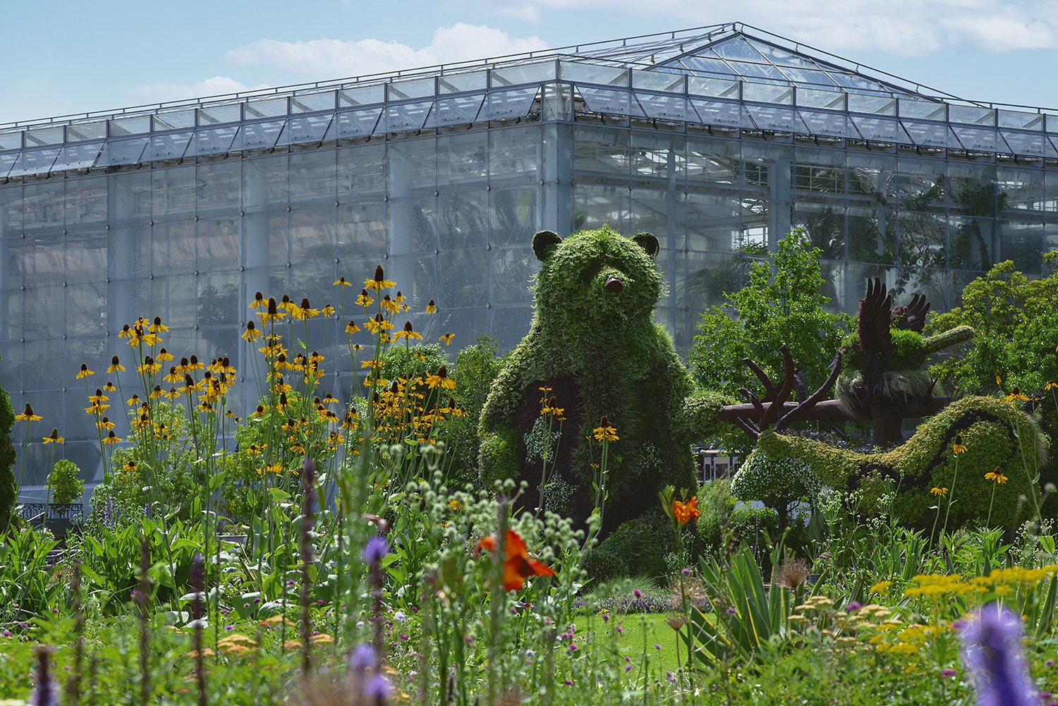 🌸 하마마쓰 플라워 파크 이미지 9